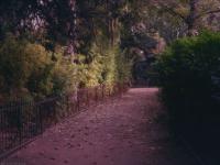 Menagerie du jardin des plantes